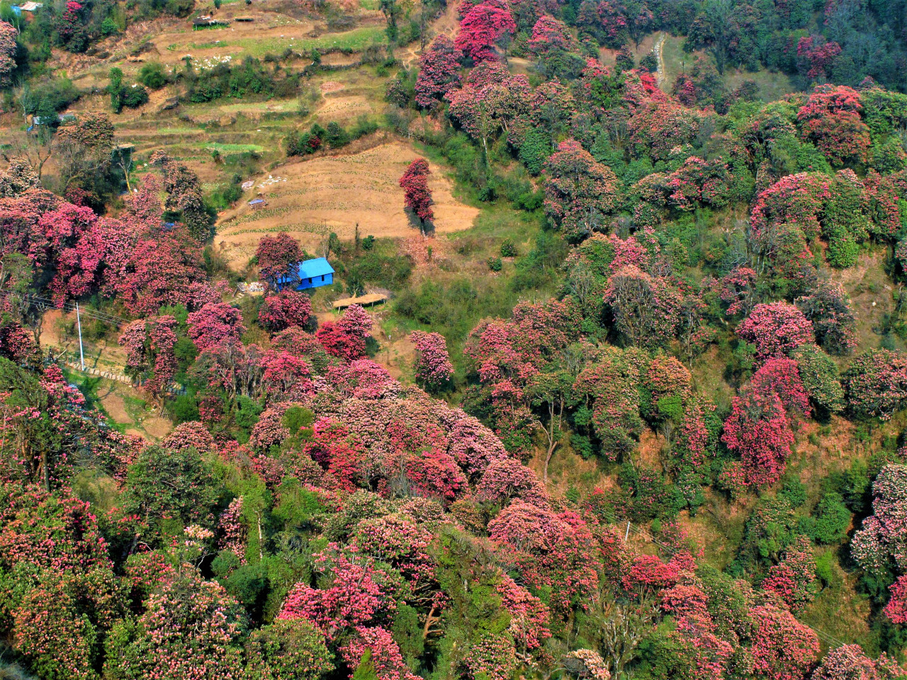 Anapurna Gorepani Poon Hill - deň 15