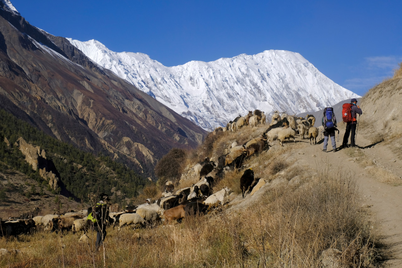 Anapurna + Tilicho-lake - deň 12