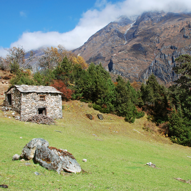 Cho-La-Pass-(Gokyo-Ri) 10