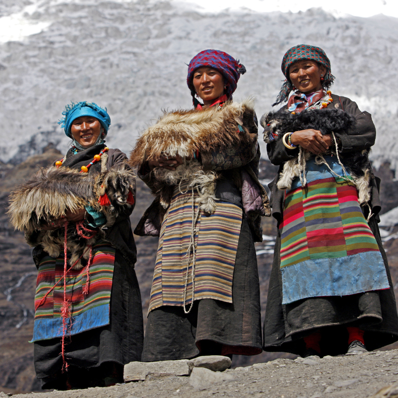 Cho-La-Pass-(Gokyo-Ri) 11